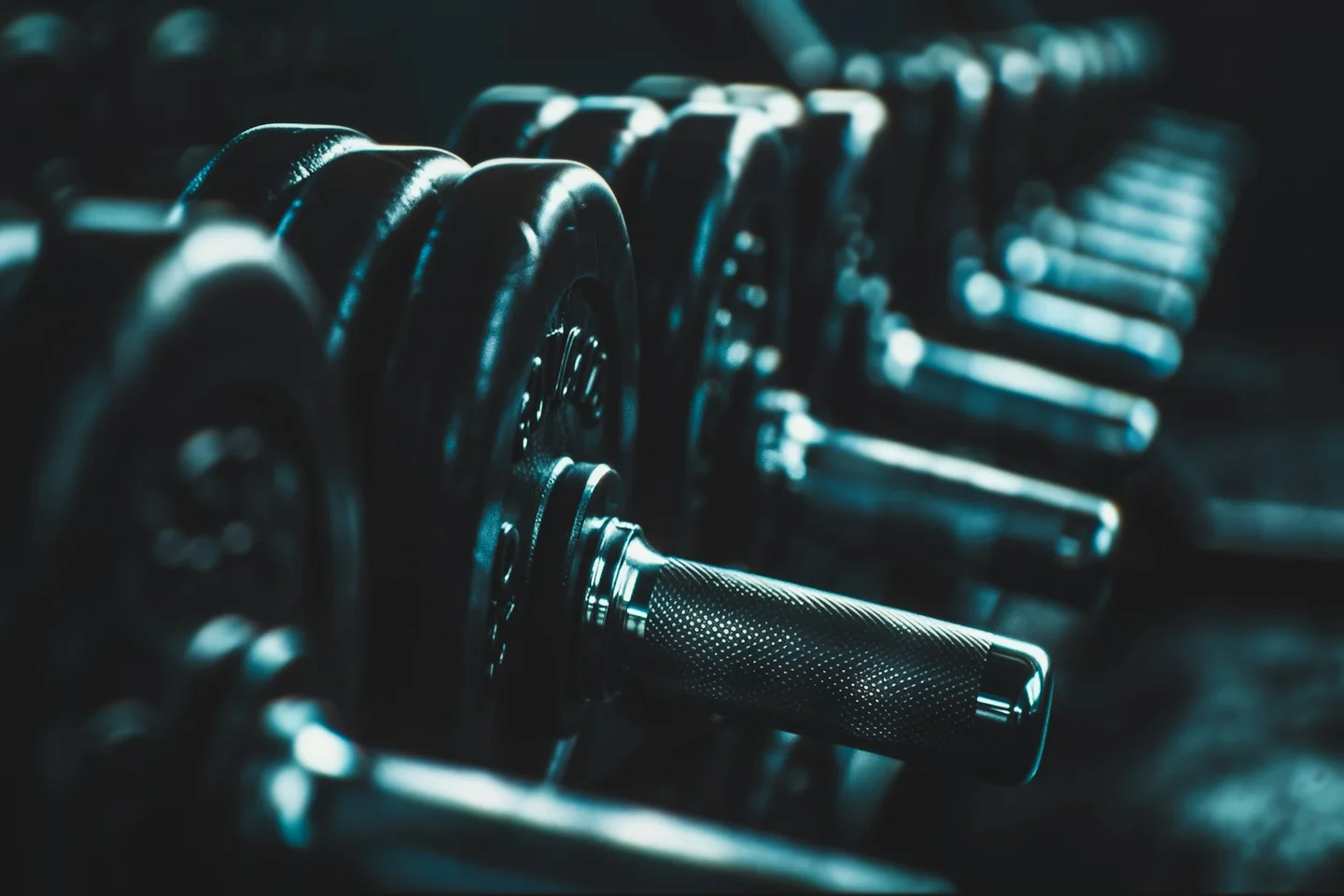 A row of metal dumbbells on a rack in a dimly lit gym.