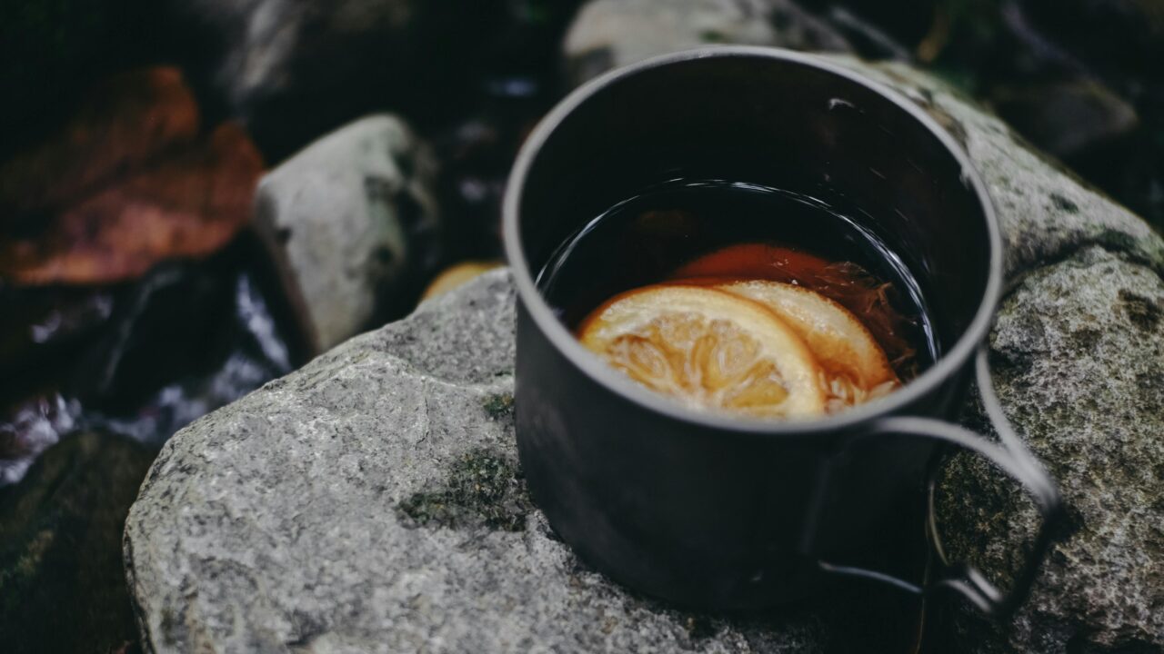 From $100 a Month to $10,000: A Story About Courage, Curiosity, and the Power of Actually Doing Things